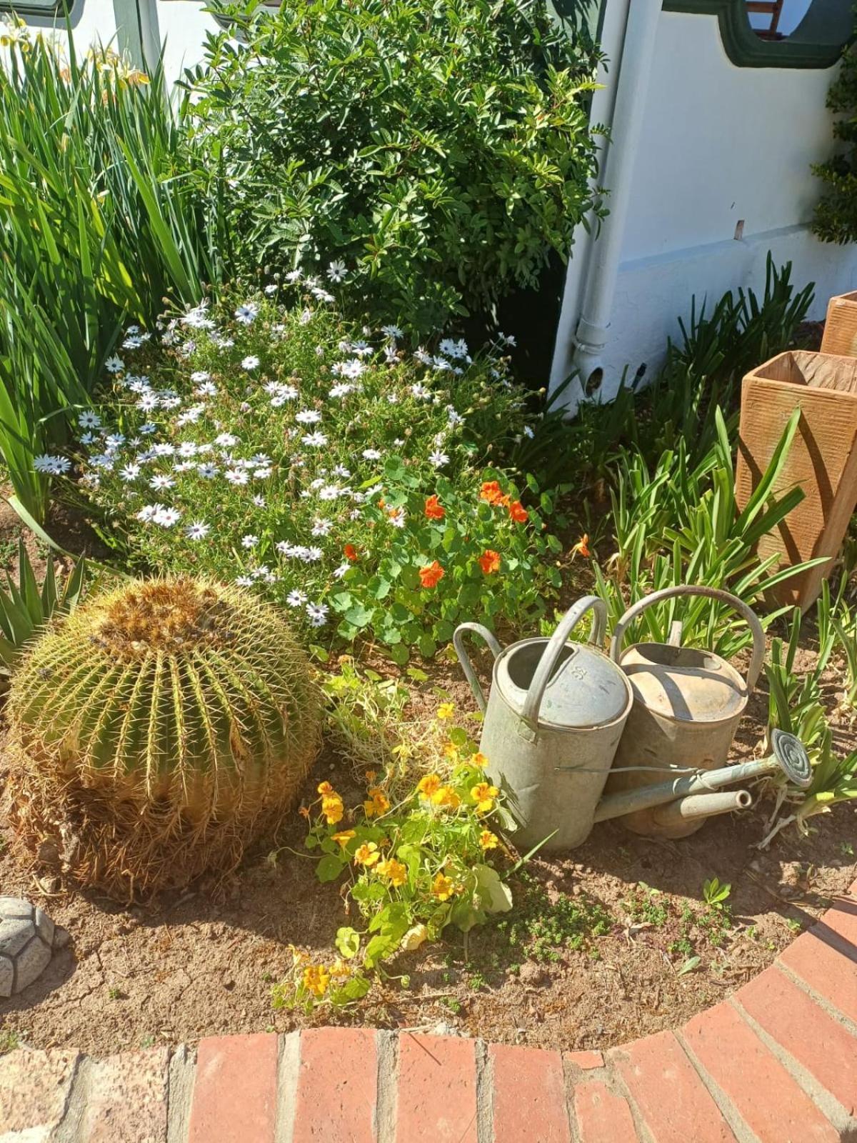 De Oude Yotclub Bed and Breakfast Oudtshoorn Exteriör bild